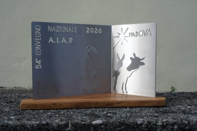 AIAP
